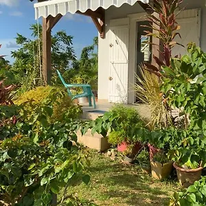 L'exotik , Les Abymes Guadeloupe